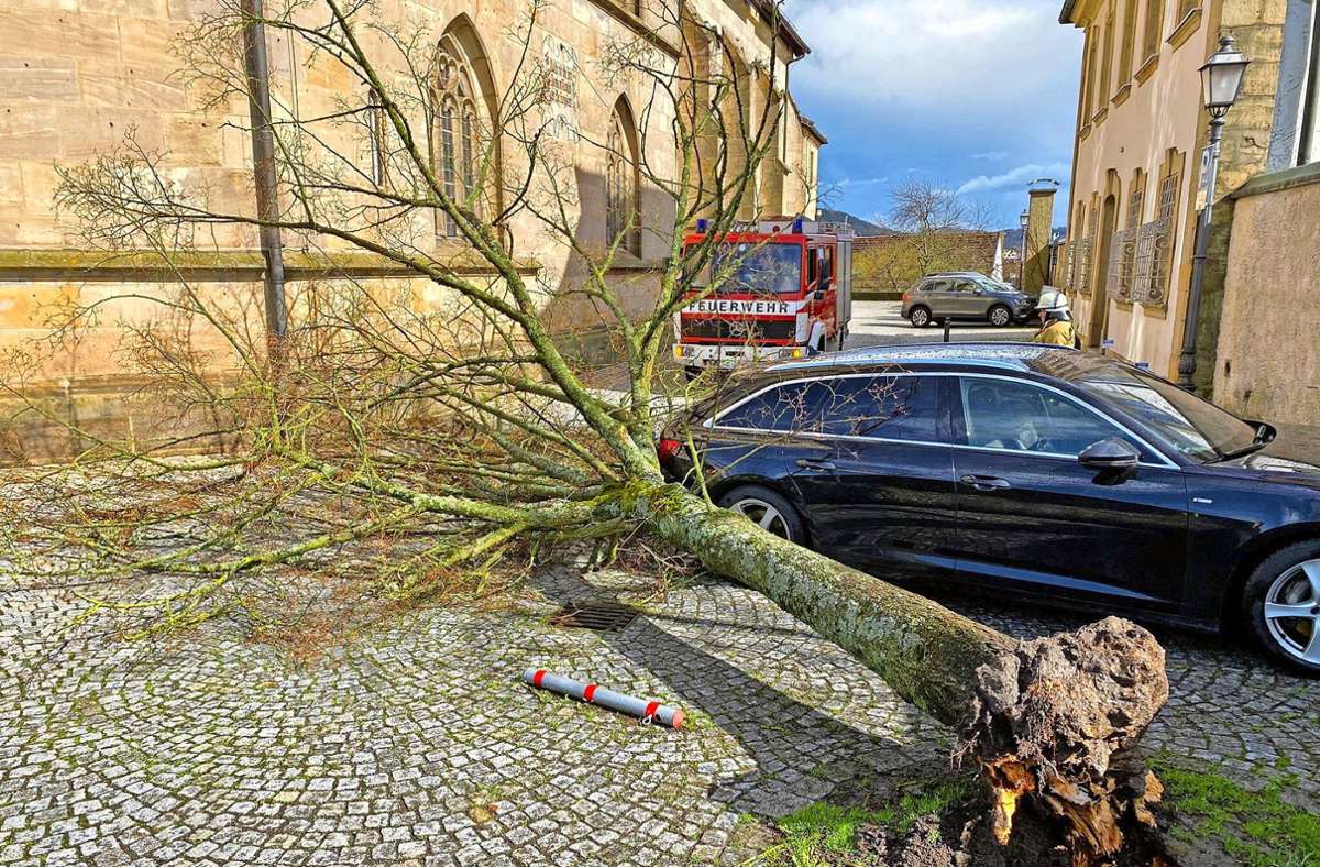 Am Kronacher Pfarramt entwurzelte dieser Baum und beschädigte beim Fallen ein Auto.