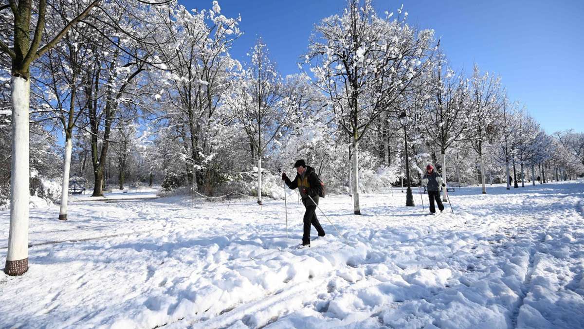 Wintereinbruch in Frankreich: 5000 Haushalte im Elsass nach Schneefällen ohne Strom