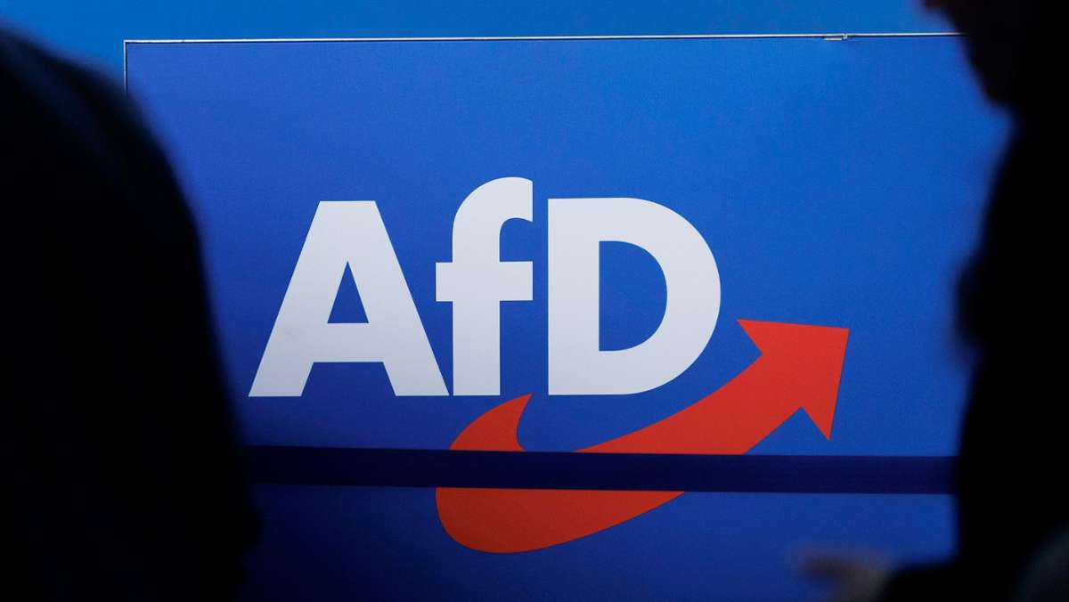 Parteien: AfD wirbt mit Abschiebeinitiative: Wahlprogramm beschlossen