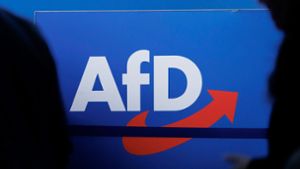 AfD wirbt mit Abschiebeinitiative: Wahlprogramm beschlossen