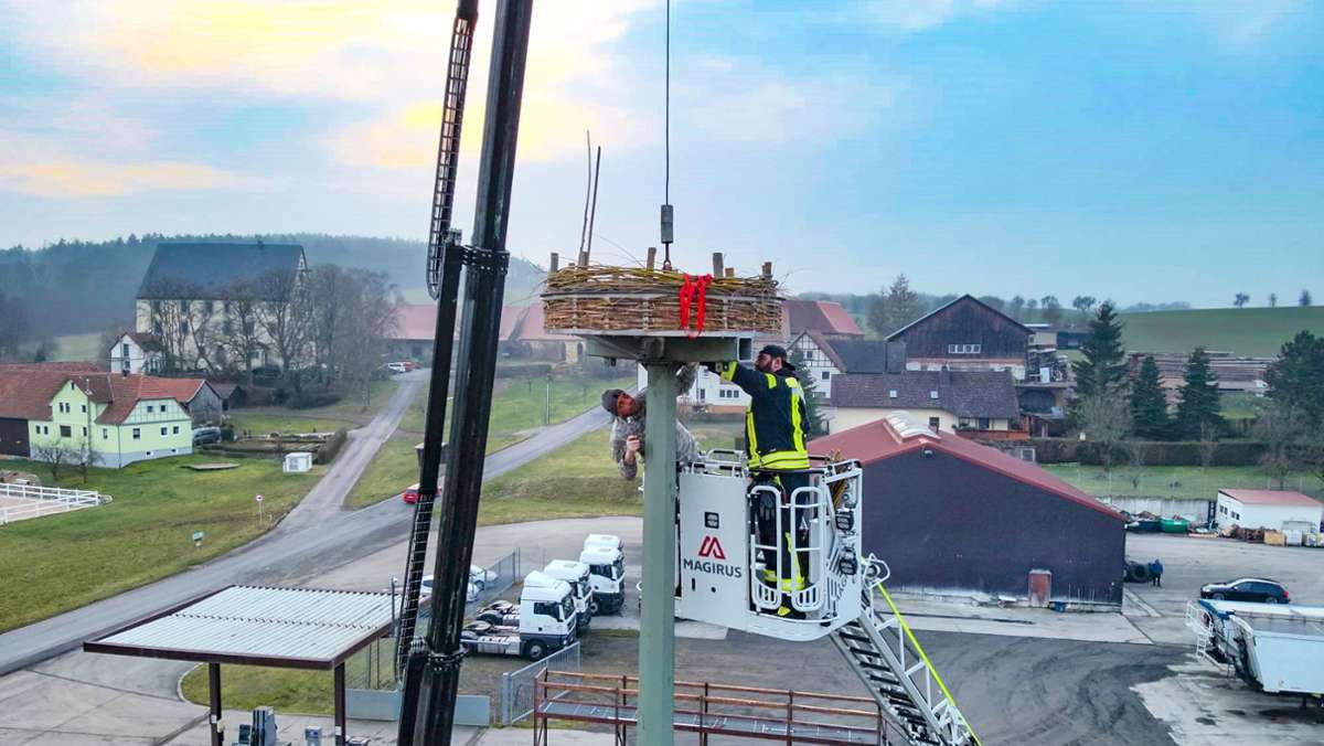 Neuer Storchenhorst bei Schloss Wiesen: Nest für Meister Adebar ist bezugsfertig