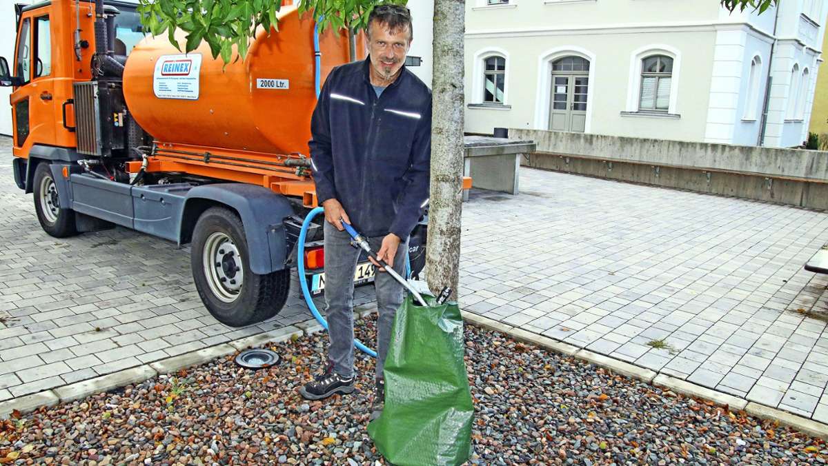 Neustadt: Durstige Straßenbäume