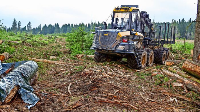 Forstwirtschaft beklagt größte Katastrophe aller Zeiten