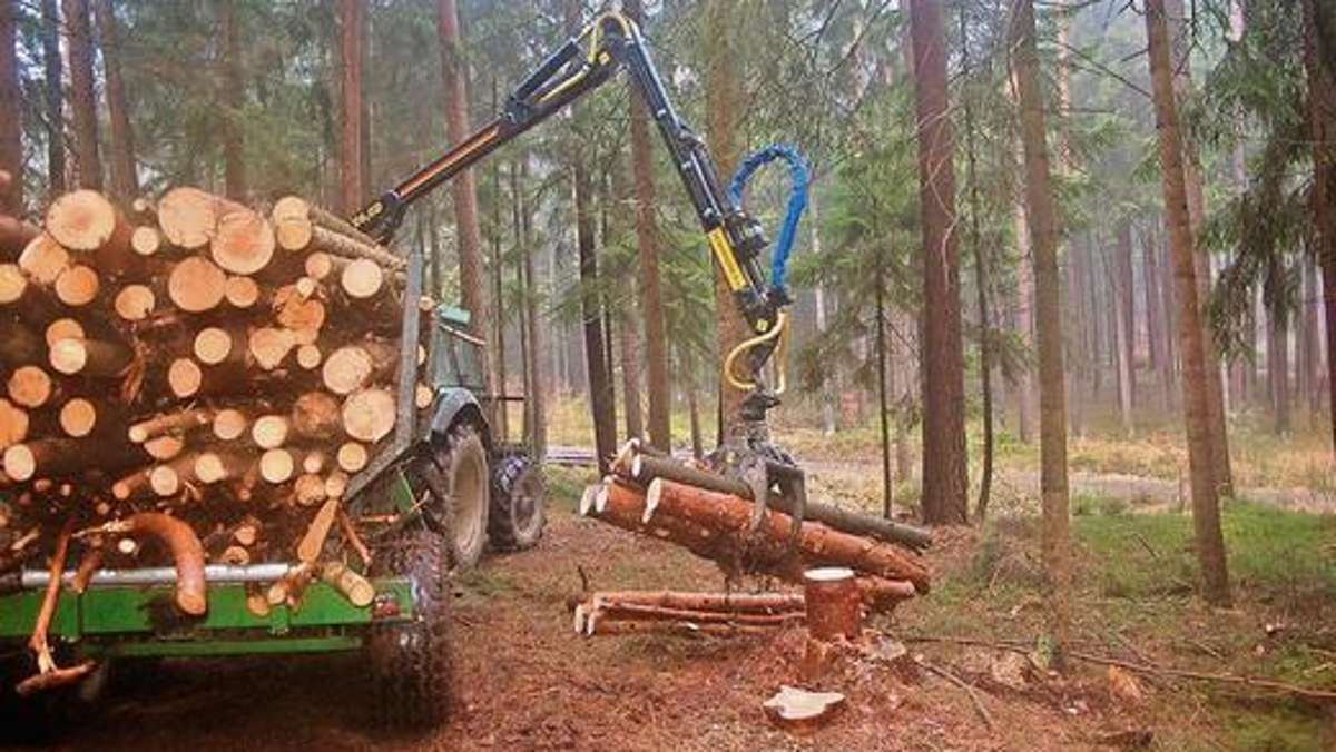 Coburg: Waldbauern setzen auf Selbstwerber