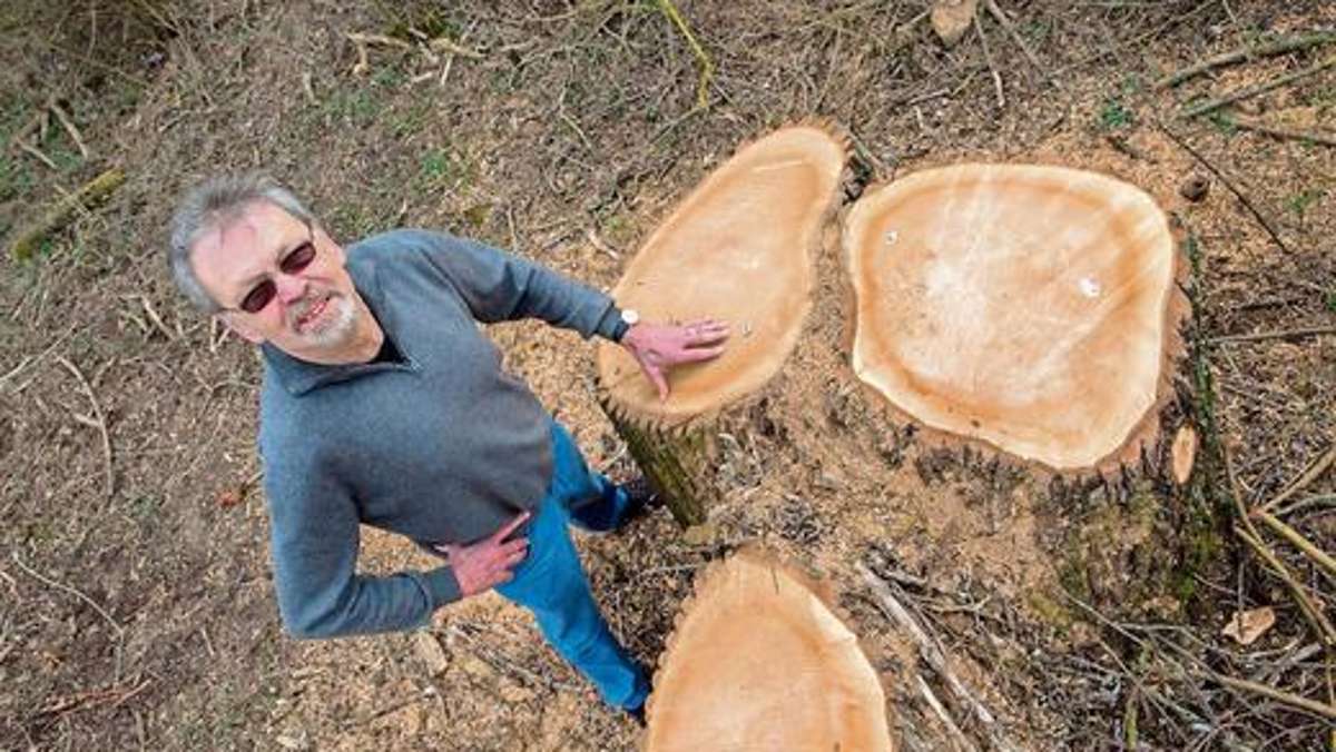 Coburg: Das große Holzen im Coburger Land