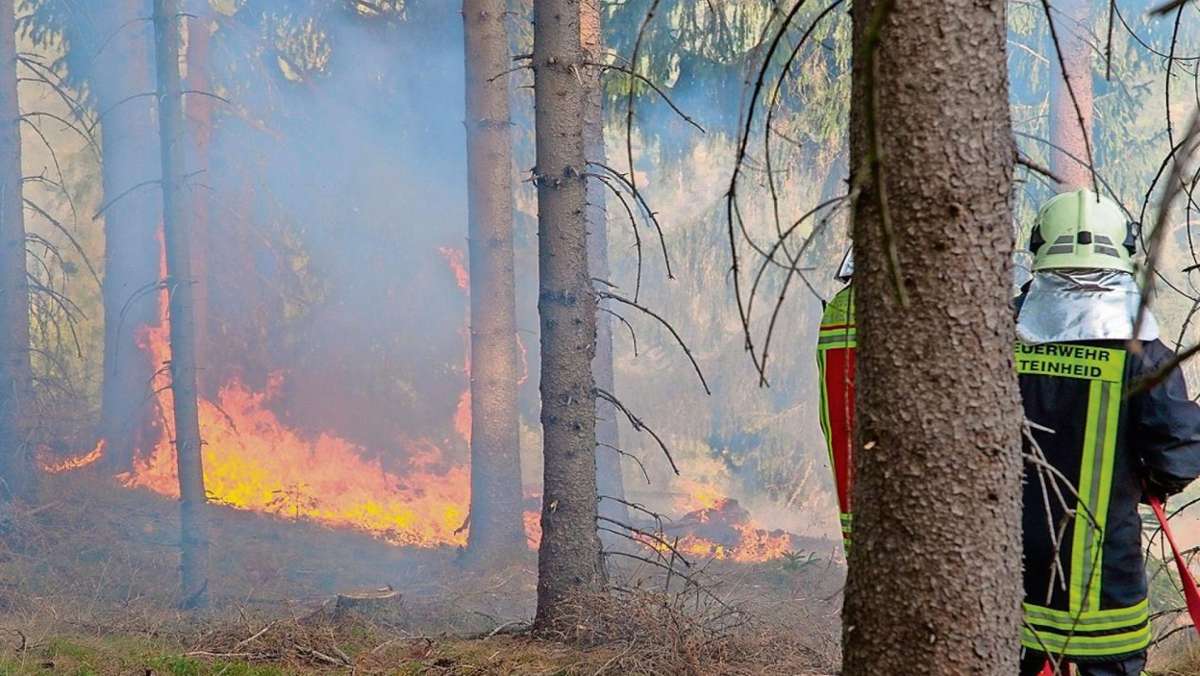 Coburg/Sonneberg: Waldbrand bringt Feuerwehren an ihre Grenze