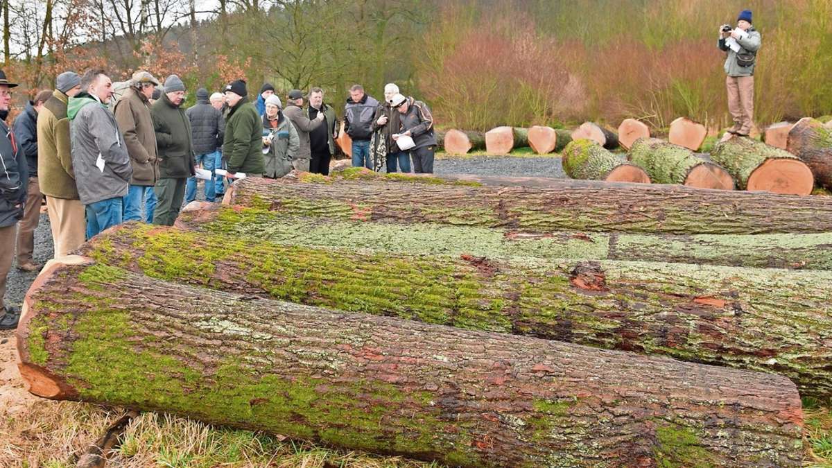 Beiersdorf: Erfolgsgeschichte Wald