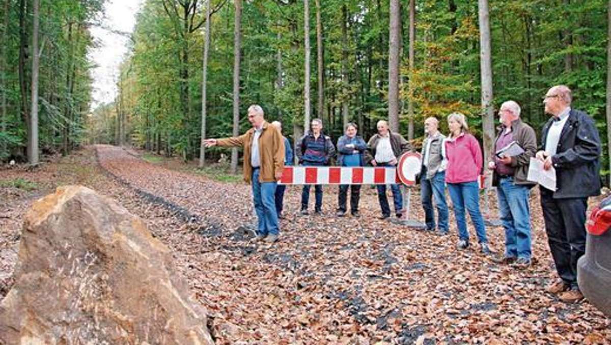 Hassberge: Neuer Waldweg im Rotreisich
