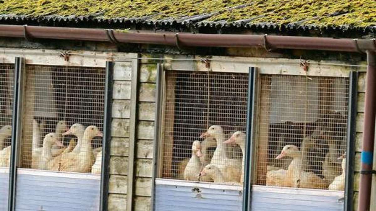 Coburg: Vorbereitet auf die Vogelgrippe